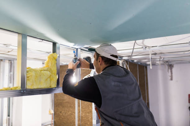 Best Insulation for Specific Applications in Galls, IN