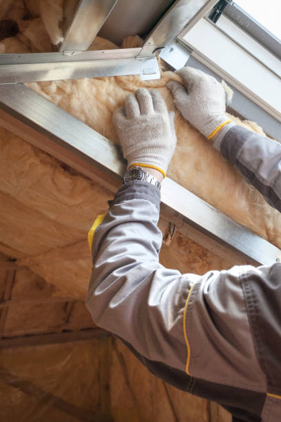 Best Specialized Insulation Services in Galls, IN